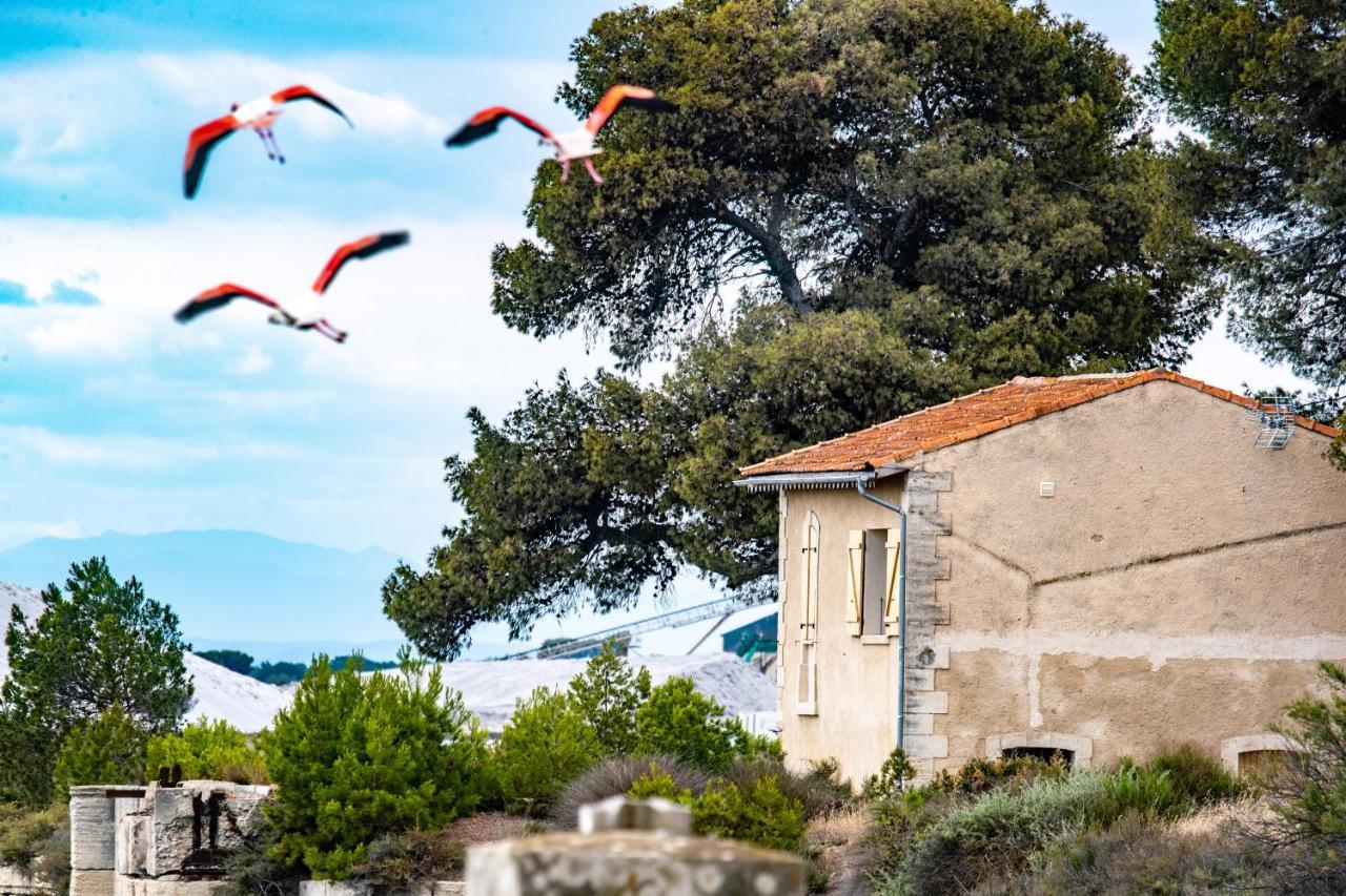 Mas De Colomina Aigues-Mortes Villa Esterno foto