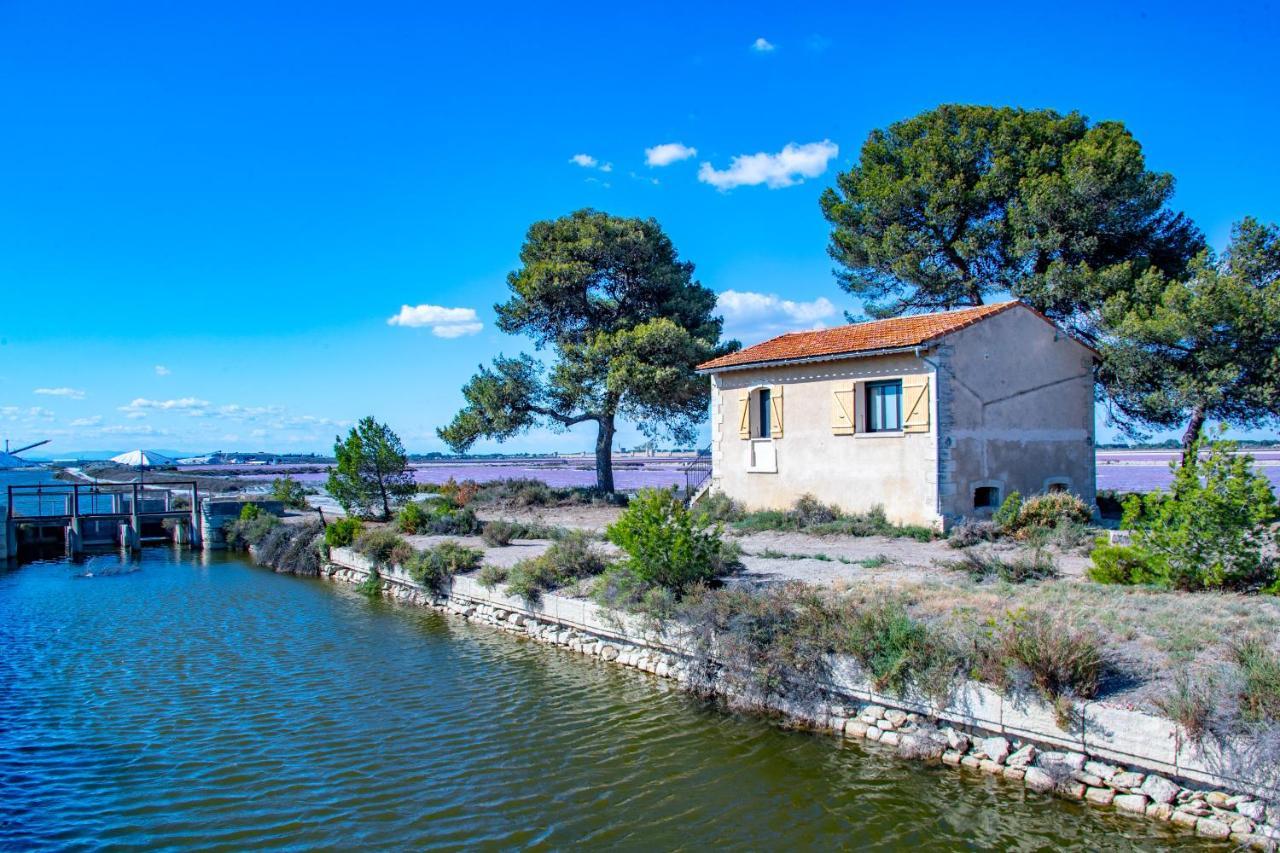 Mas De Colomina Aigues-Mortes Villa Esterno foto